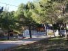 Camping Le Bois de Pins