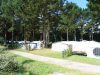 Camping Le Chateau du Petit Bois
