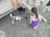 animations camping l offrerie dordogne