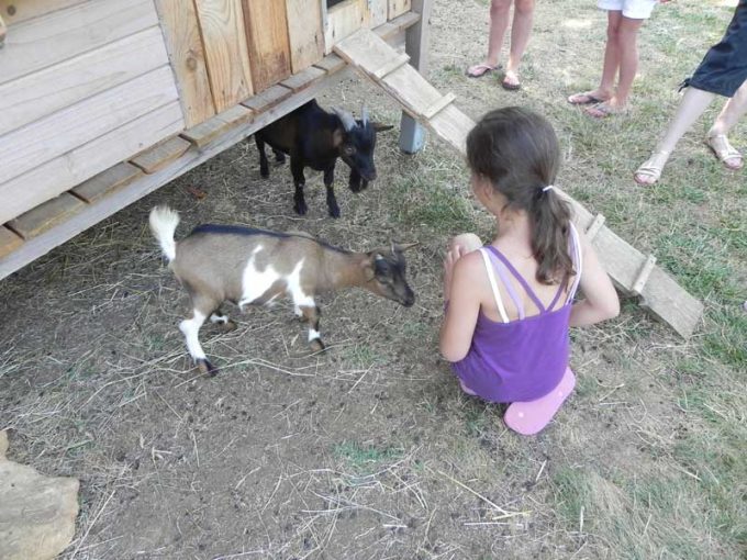 animations camping l offrerie dordogne